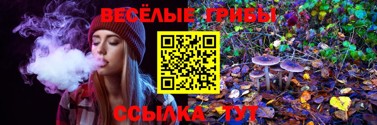 Новочеркасск  Галлюциногенные грибы мицелий  Вход с VPN 