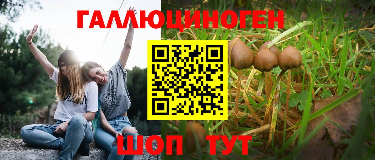 Псилоцибиновые грибы GOLDEN TEACHER Новочеркасск
